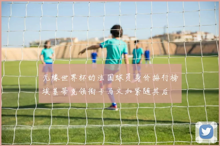无缘世界杯的法国球员身价排行榜埃基蒂克领衔卡马文加紧随其后